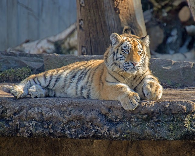 阔腿裤怎样裁剪才好看版师林见秋把显瘦关键一次讲透