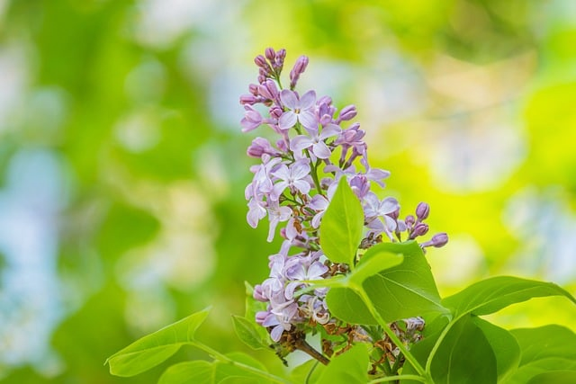 女士针织衫怎么选才不踩雷这份实用清单真的太省心