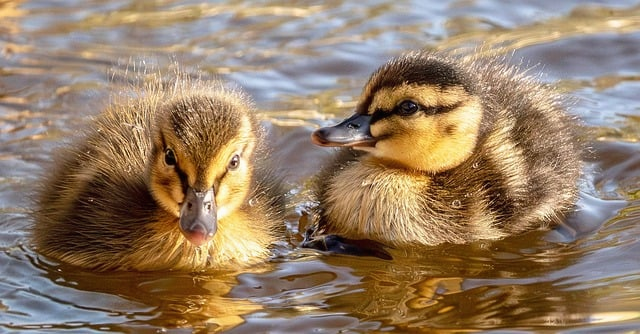 阔腿裤太长了怎么卷照着做就很利落，真的不用急着拿去改