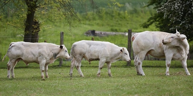 40岁女人穿灰色阔腿裤好看吗别再纠结了，照着时尚顾问许知南这几招穿，真高级
