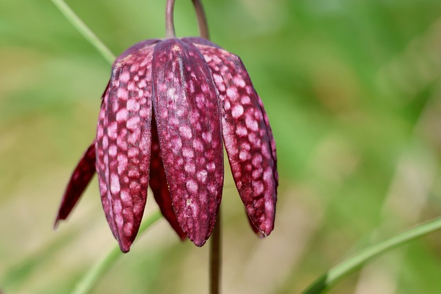 女士开衫怎么选才不显土云见杉的实用穿搭答案来了