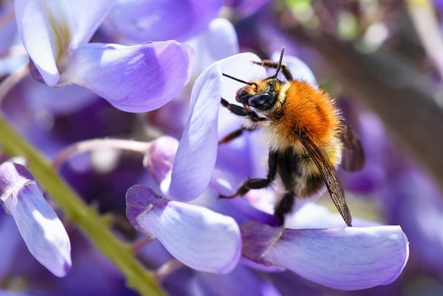 阔腿裤是窄版的好还是宽松的别再盲选了，这篇干货帮你穿对不踩雷
